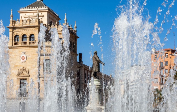 tarimas valladolid cerca de mi