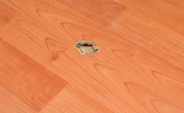 Parquet de madera con un desperfecto en la superficie antes de lijar y barnizar